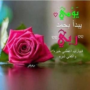 Meet your Posher, Rola